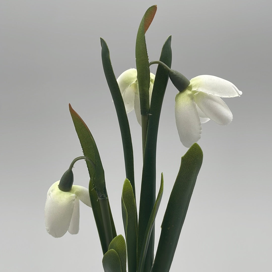 Schneeglöckchen im Glastopf | Kunstpflanzen von Wimpelberg