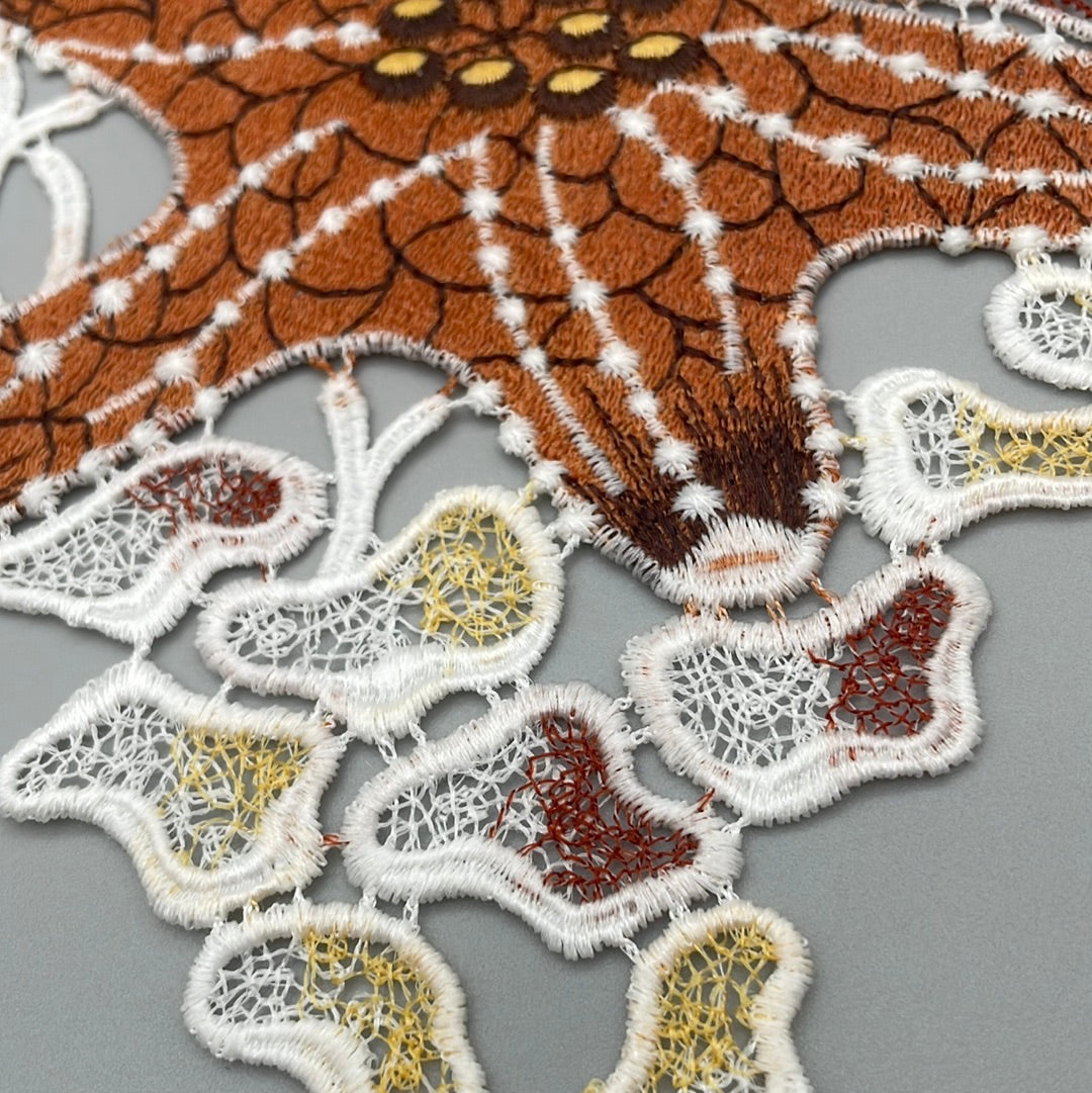 Fensterbild Seestern braun | Fensterdekoration von Wimpelberg