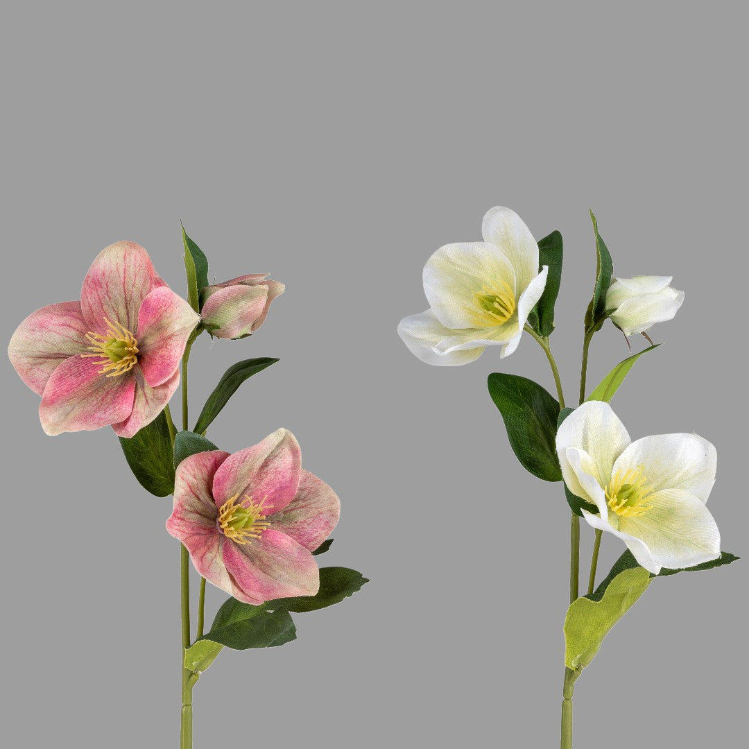 Formano Kunstpflanze Christrose – 34 cm, farbig sortiert (weiß und pink)