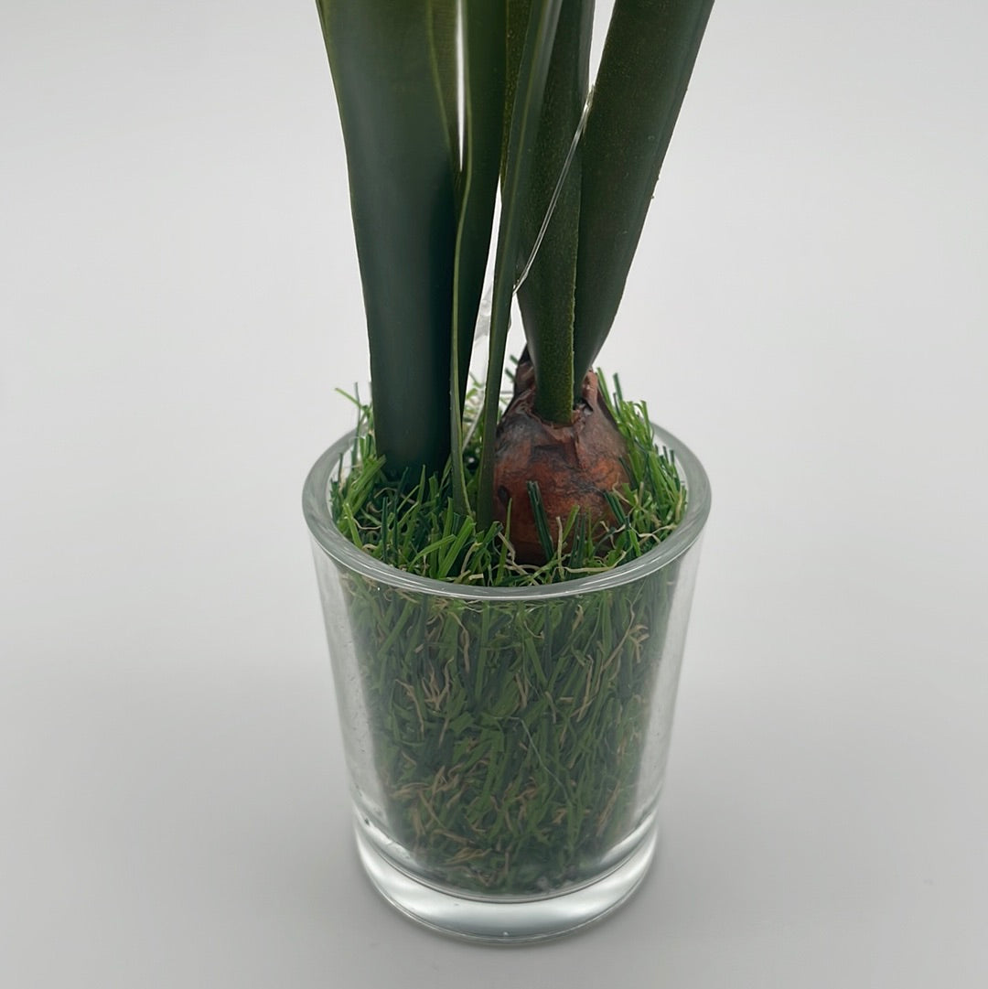 Schneeglöckchen im Glastopf | Kunstpflanzen von Wimpelberg