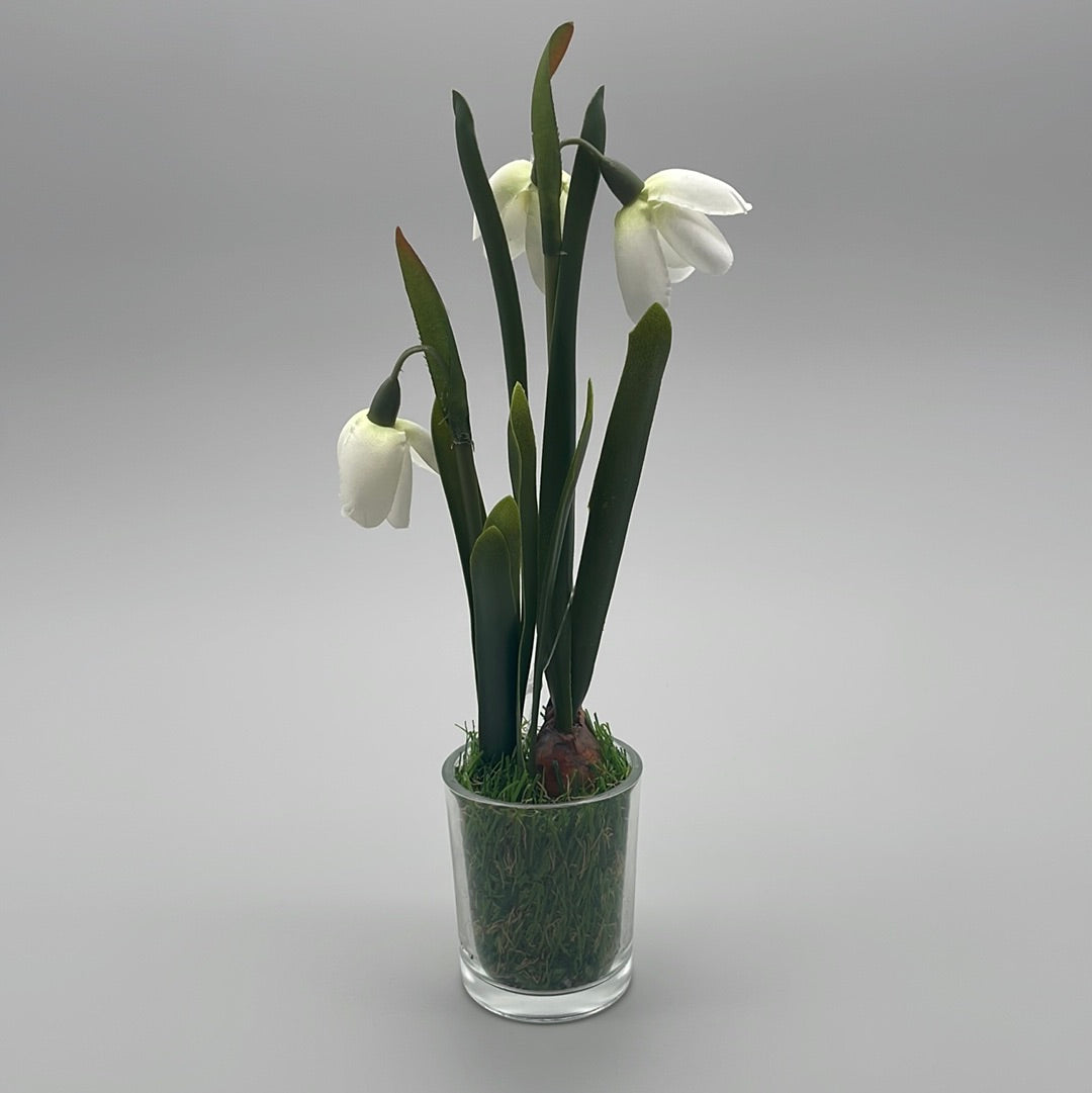 Schneeglöckchen im Glastopf | Kunstpflanzen von Wimpelberg