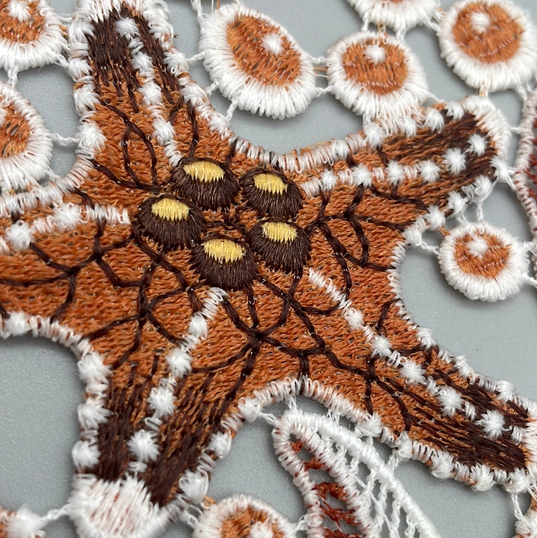 Fensterbild Seestern braun | Fensterdekoration von Wimpelberg