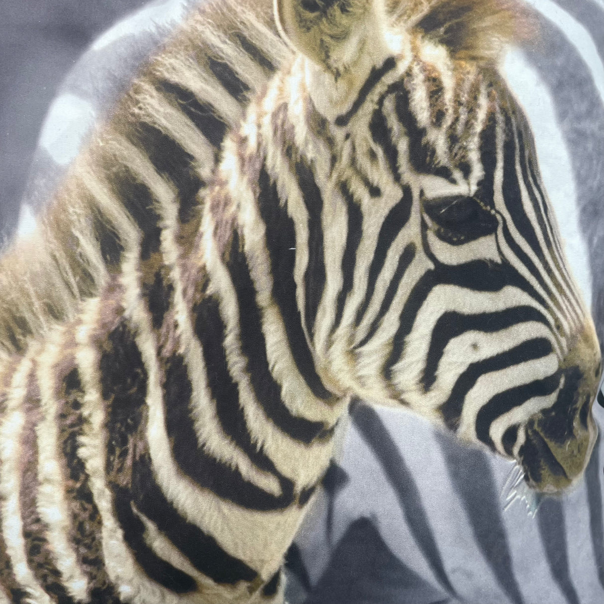 Kissenbezug Tiermotive - 40x40 von Wimpelberg