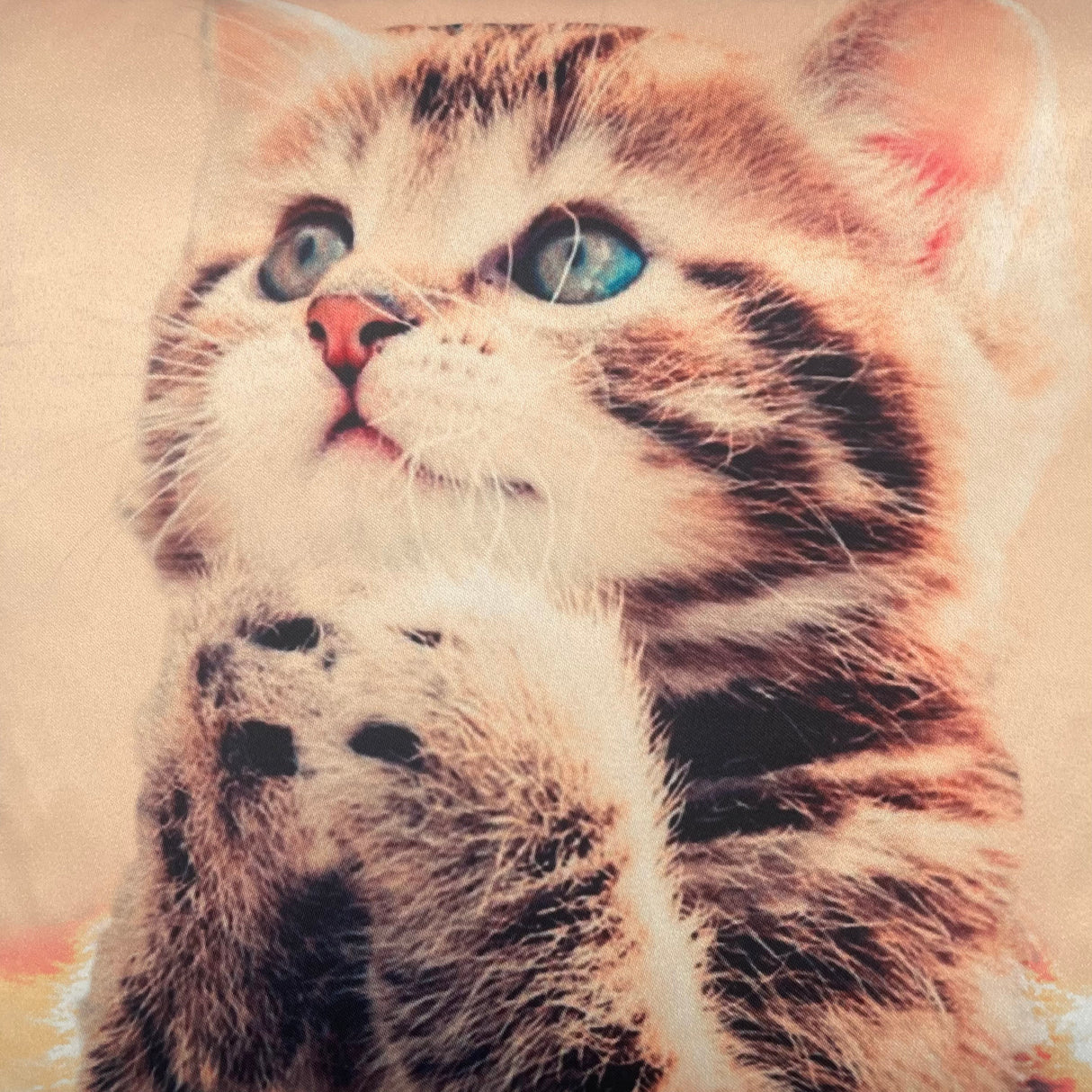 Kissenhülle Katze | 40x40cm von Wimpelberg