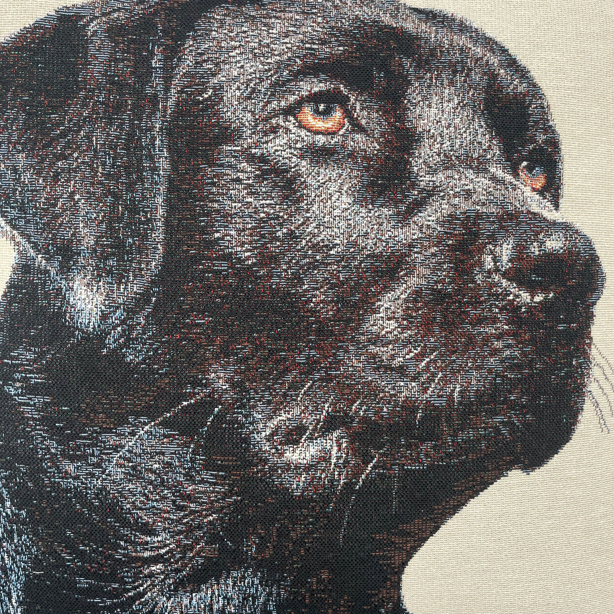 Kissenhülle Hund | 45x45cm von Wimpelberg