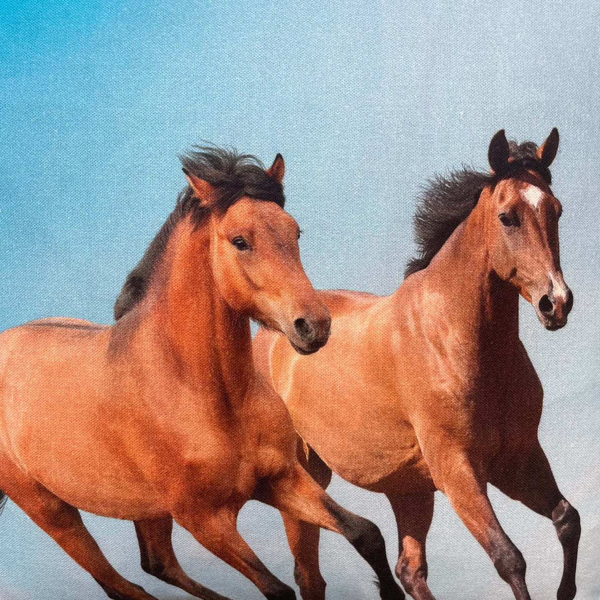 Baumwolle Kissenbezug Tiermotive - 45x45cm von Wimpelberg