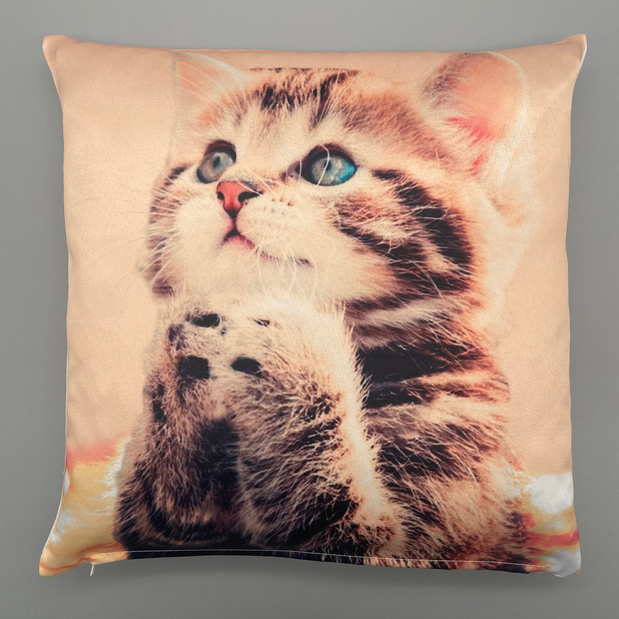 Kissenhülle Katze | 40x40cm Katze Fb. lachs von Wimpelberg