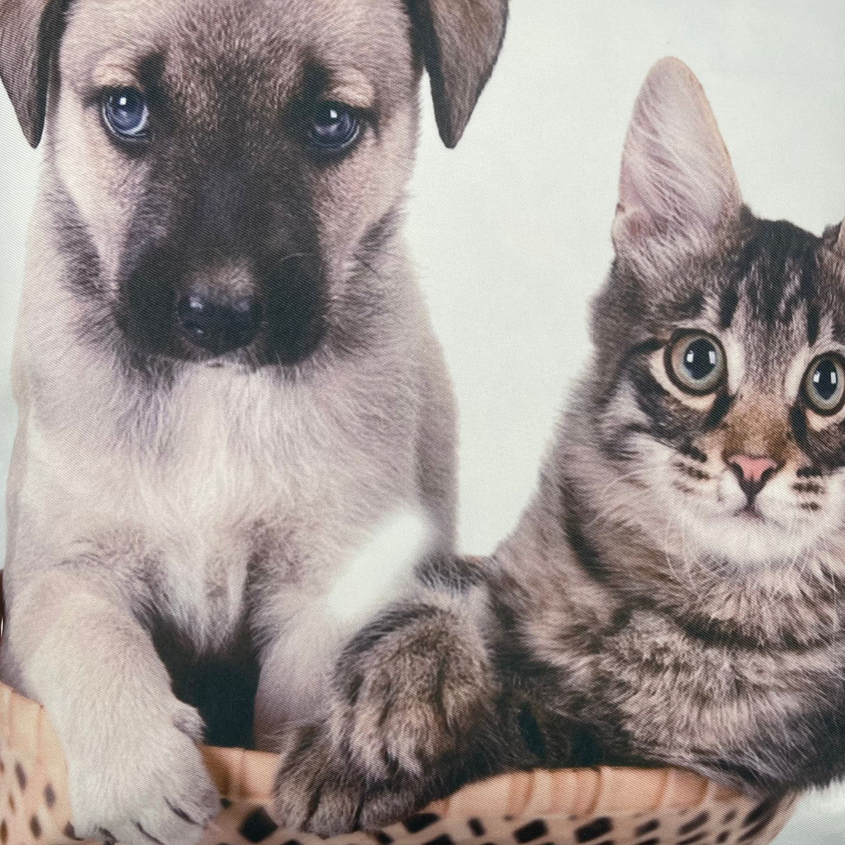 Kissenhülle Katzen und Hunde Deko | 40x40cm von Wimpelberg