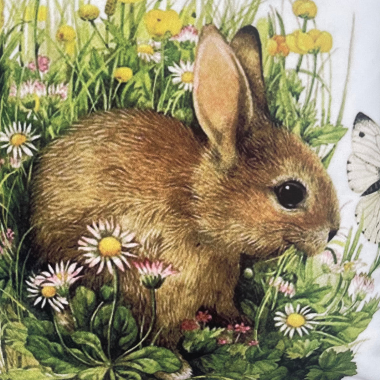 Kissenhülle Frühling Hase in Wiese - 40x40cm von Wimpelberg