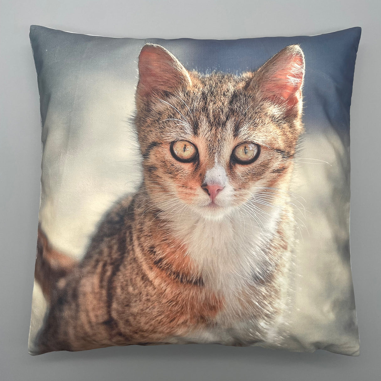 Kissenhülle 40x40cm Katzen Deko Katze mit blauem Hintergrund von Wimpelberg