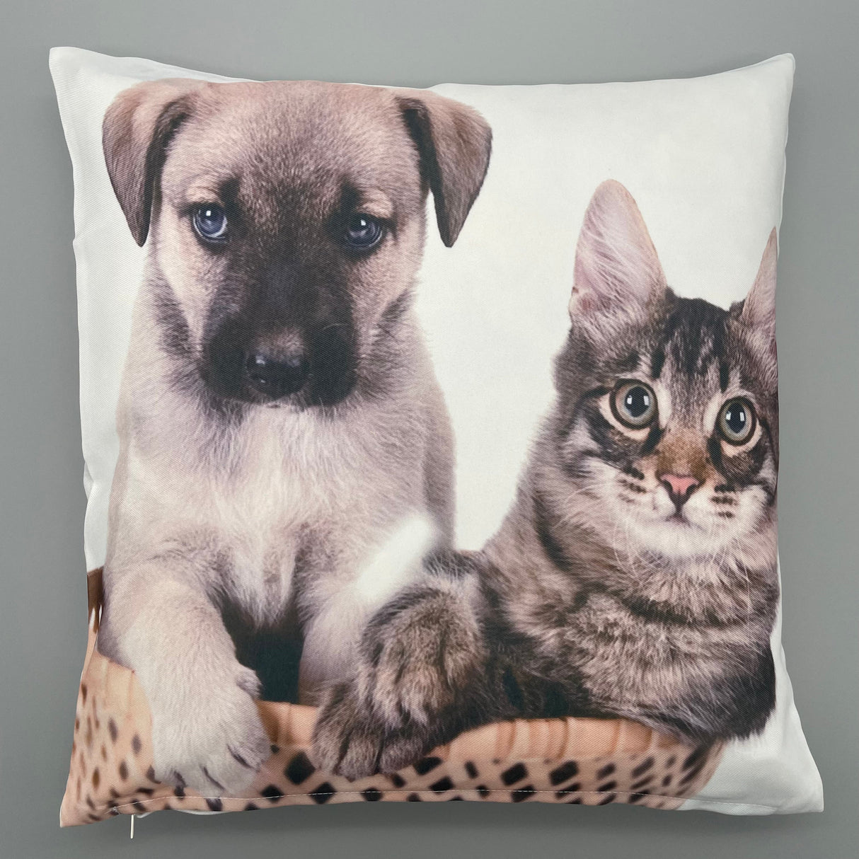 Kissenhülle Katzen und Hunde Deko | 40x40cm Hund und Katze im Körbchen von Wimpelberg