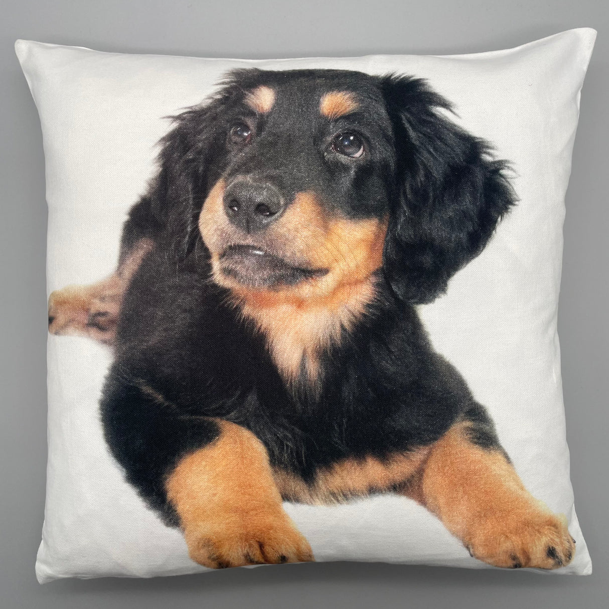 Baumwolle Kissenbezug Tiermotive - 45x45cm Kleiner schwarze Hund liegend von Wimpelberg