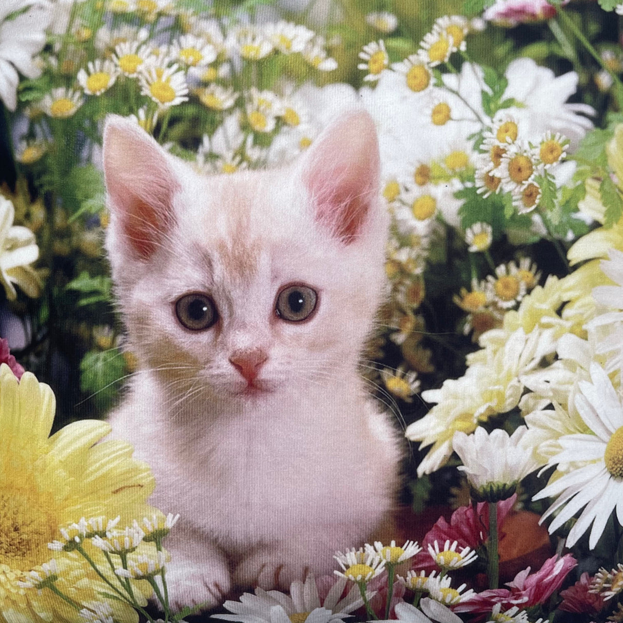 Kissenhülle Katze mit Blumen | 40x40cm von Wimpelberg