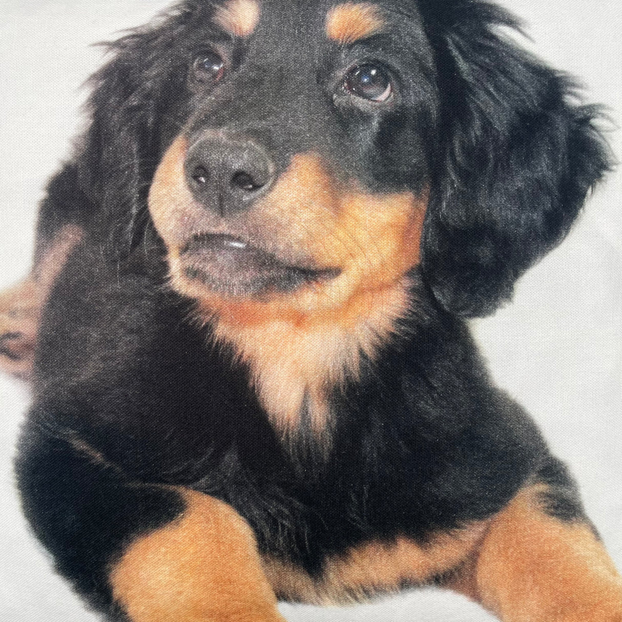 Baumwolle Kissenbezug Tiermotive - 45x45cm von Wimpelberg