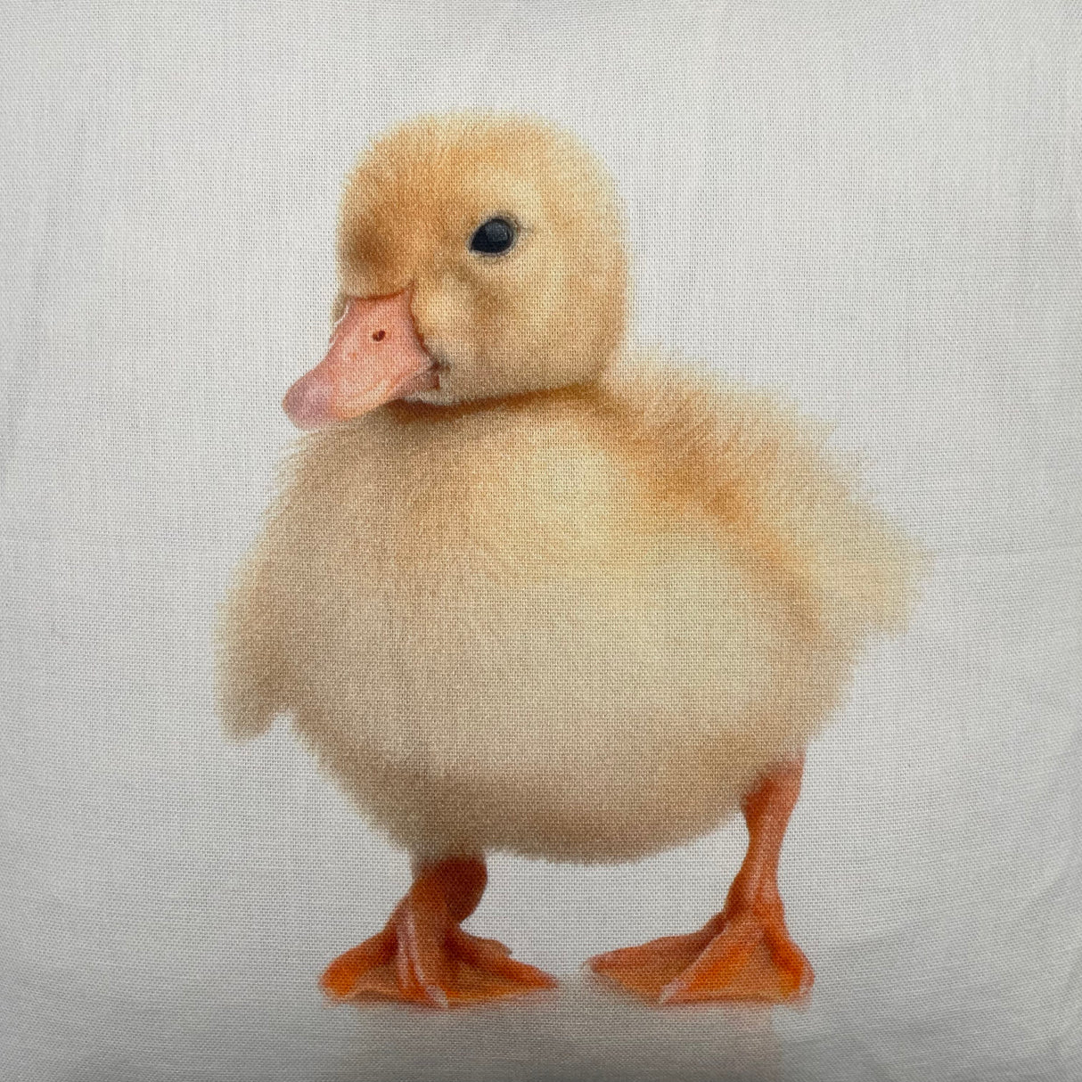 Baumwolle Kissenbezug Tiermotive - 45x45cm von Wimpelberg