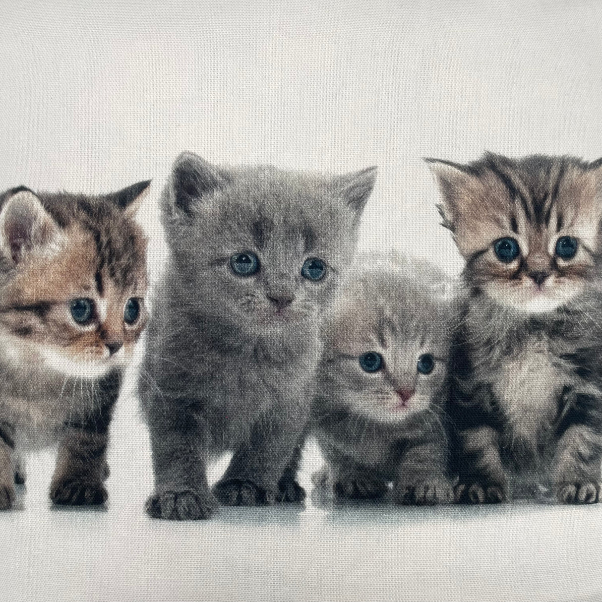 Baumwolle Kissenbezug Tiermotive - 45x45cm von Wimpelberg