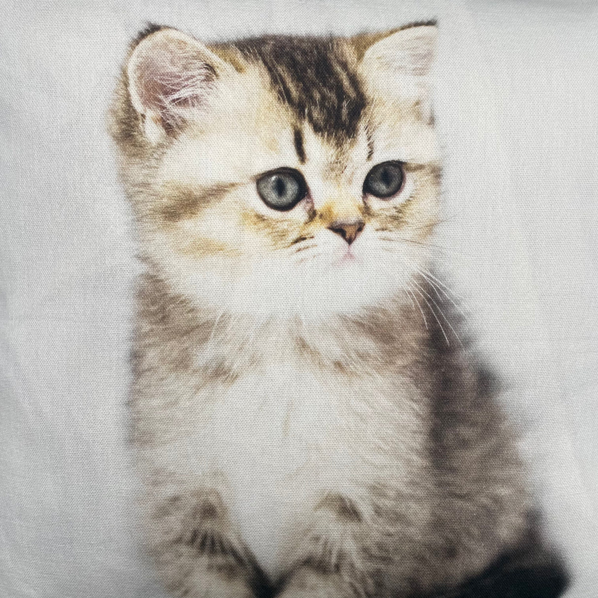 Baumwolle Kissenbezug Tiermotive - 45x45cm von Wimpelberg