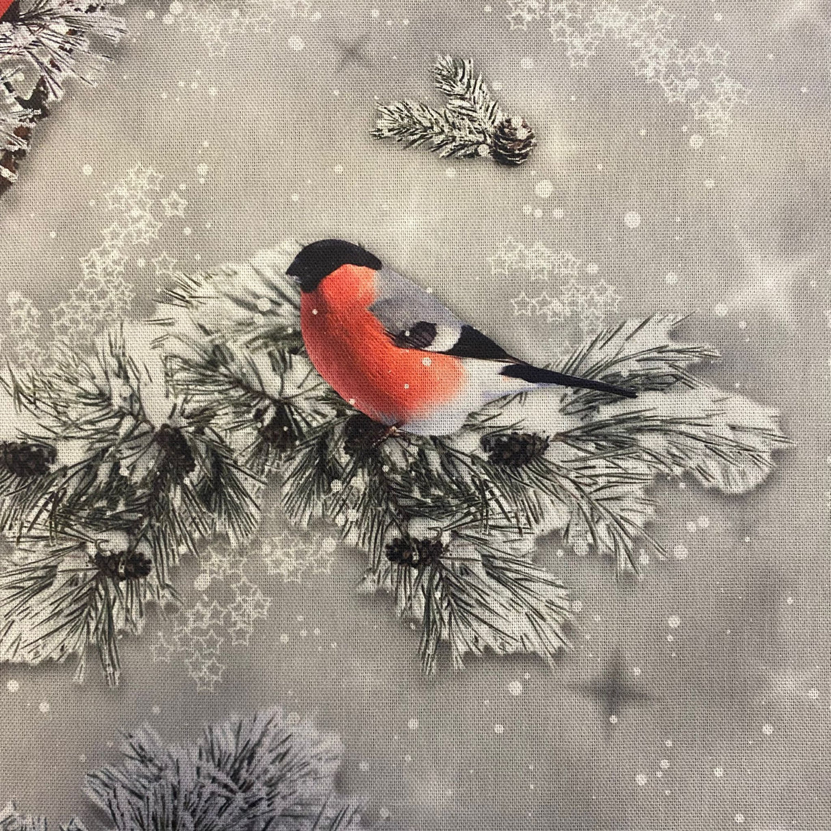 Decke Winterbirds – 85x85 cm | Winterdecke Vögel im Winter von Wimpelberg