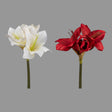 Amaryllis in Weiß und Rot – 50 cm | Winter Kunstpflanzen   von Wimpelberg