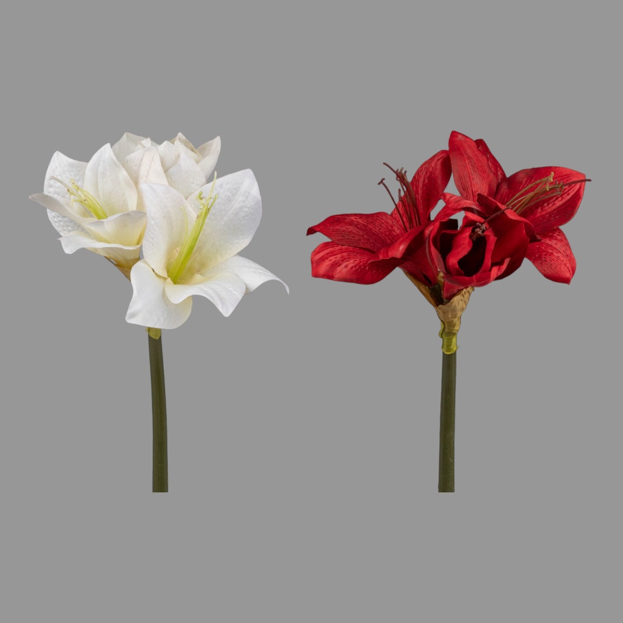 Amaryllis in Weiß und Rot – 50 cm | Winter Kunstpflanzen   von Wimpelberg