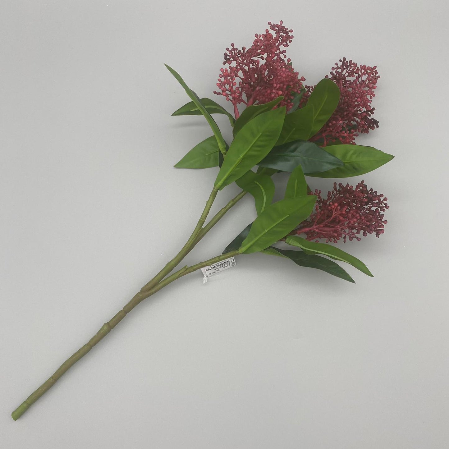 Skimmia-Zweig45	farbig sort.  Lila von Wimpelberg