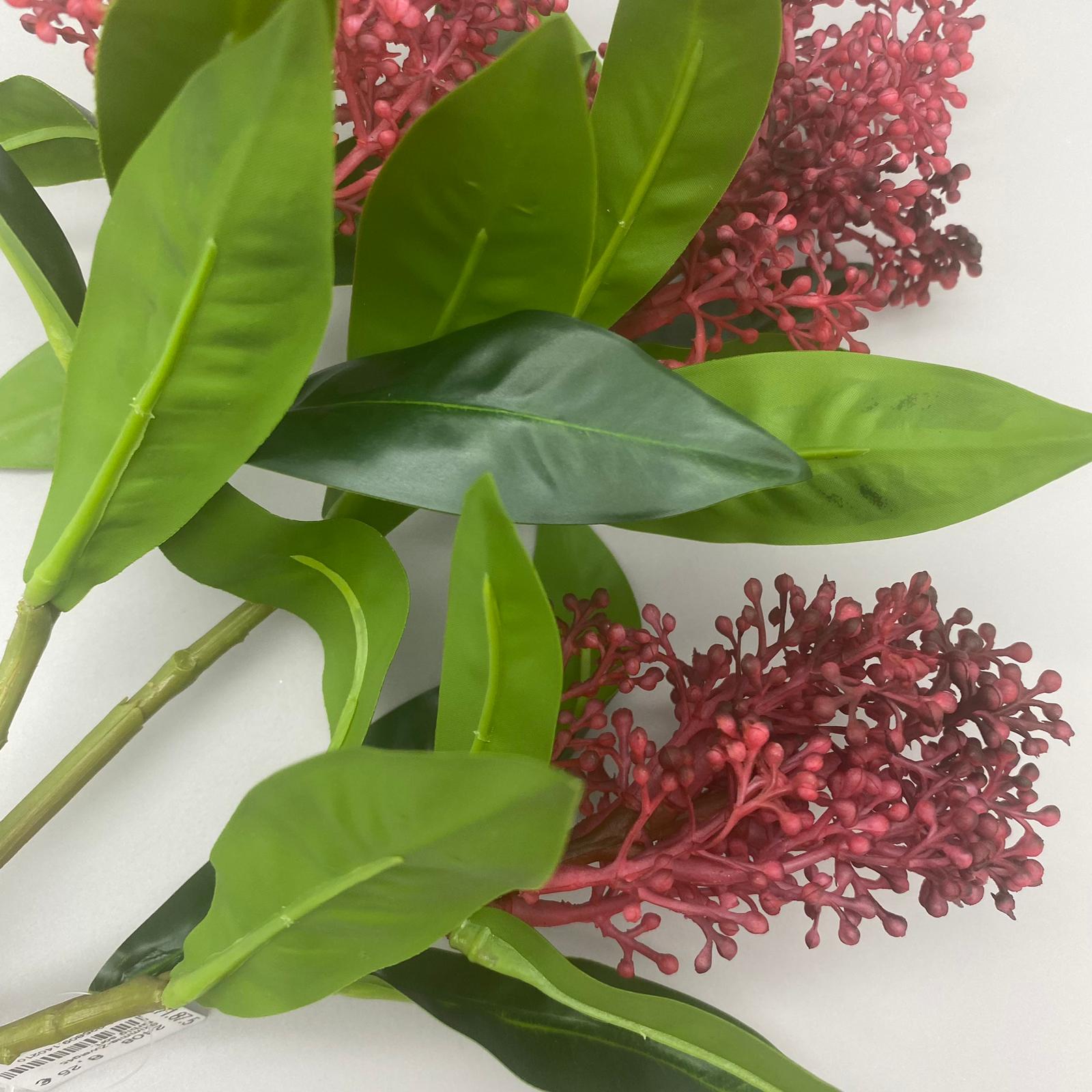 Skimmia-Zweig45	farbig sort.   von Wimpelberg